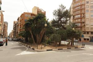 Alicante, building, day, eye level view, natural light, palm, residential, Spain, street, sunny, tree, Valenciana, vegetation