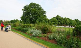 broad-leaf tree, broad-leaved tree, bush, day, diffuse, diffused light, England, eye level view, garden, London, natural light, park, plant, shrub, summer, The United Kingdom, treeline