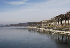 broad-leaf tree, broad-leaved tree, clear, day, eye level view, lake, promenade, Rapperswil, Sankt Gallen, sky, sunny, Switzerland, treeline, winter