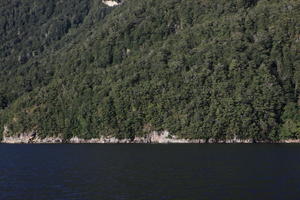 day, eye level view, forest, mountain, New Zealand, seascape, summer, sunny