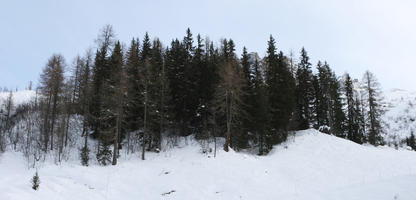 Chamonix, coniferous, day, diffuse, diffused light, evergreen, eye level view, France, mountain, Rhone-Alpes, snow, tree, winter