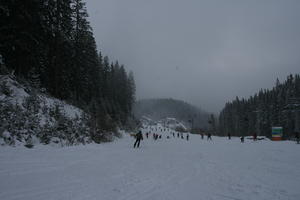 Bulgaria, day, eye level view, group, mountain, overcast, people, pine, skiing, slope, snow, tree, vegetation, winter