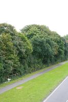 day, elevated, England, grass, London, natural light, The United Kingdom, vegetation