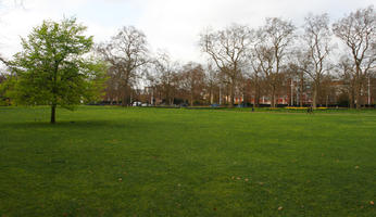 day, England, eye level view, grass, London, park, spring, sunny, The United Kingdom, tree