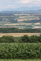 crop, day, elevated, field, Lausanne, mountain, natural light, summer, sunny, Switzerland, tree, Vaud, vegetation