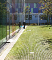 bright, day, direct sunlight, England, eye level view, facade, glass, grass, London, pavement, spring, sunny, The United Kingdom