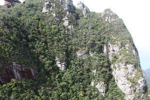 day, elevated, forest, Kedah, Malaysia, mountain, sunny, vegetation