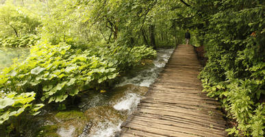 bridge, Croatia, day, diffuse, diffused light, eye level view, Karlovacka, natural light, path, plant, shrub, summer