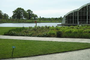 bush, day, England, eye level view, garden, grass, natural light, park, plant, The United Kingdom, Woking