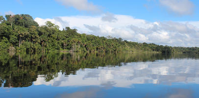 day, eye level view, Madre de Dios, Peru, river, shrub, summer, sunny, treeline, tropical