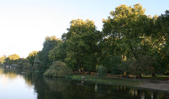 afternoon, autumn, day, England, eye level view, lake, London, park, sunny, The United Kingdom, treeline