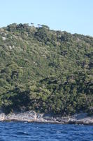 coastline, Croatia, Croatia, day, eye level view, hill, seascape, sunny, tree, vegetation