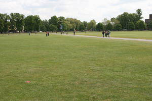 afternoon, bright, Cambridge, day, England, eye level view, grass, lawn, spring, The United Kingdom, tree, vegetation