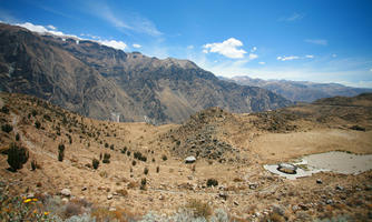 Arequipa, Arequipa, autumn, cactus, day, elevated, moorland, mountain, natural light, Peru, sunny, Valley of Volcanoes, vegetation