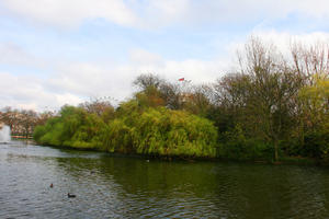 day, England, eye level view, greenery, London, park, pond, spring, The United Kingdom, tree, weeping willow