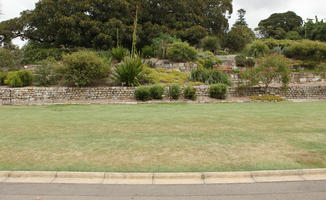 Australia, bush, day, eye level view, grass, natural light, New South Wales, park, summer, Sydney, tree, vegetation