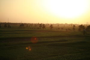 clear, dusk, East Timor, Egypt, Egypt, elevated, palm, sky, sun, sunset, vegetation