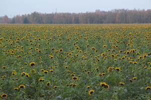 Poland, Wielkopolskie