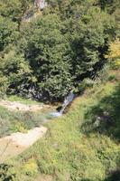 bush, Croatia, day, elevated, Karlovacka, mountain, sunny, tree, vegetation