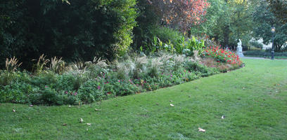 autumn, bush, day, England, eye level view, flower, flowered bush, grass, London, park, shady, shrub, sunny, The United Kingdom