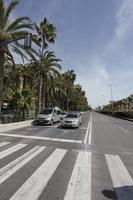 Alicante, car, crossing, day, eye level view, natural light, palm, Spain, street, sunny, Valenciana, vegetation