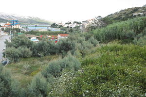 Croatia, day, diffuse, diffused light, eye level view, shrubland, summer