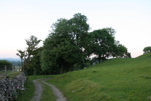 countryside, day, eye level view, field, grass, natural light, road, summer, The United Kingdom, tree, Wales