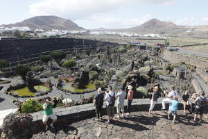 cactus, Canarias, casual, day, elevated, evergreen, group, park, people, Spain, standing, succulent plant, summer, sunny