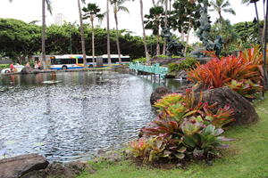 bush, day, diffuse, diffused light, eye level view, Hawaii, natural light, pond, resort, shrub, summer, The United States, tropical, vegetation