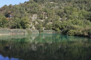 Croatia, day, eye level view, Karlovacka, lake, mountain, reed, tree, vegetation