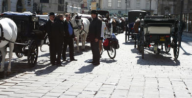 Austria, carriage, coach, day, direct sunlight, eye level view, floor, horse, natural light, pavement, pavement, people, plaza, square, standing, summer, sunlight, sunny, sunshine, Vienna, Wien