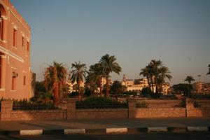 day, dusk, East Timor, Egypt, Egypt, eye level view, natural light, palm, street, vegetation