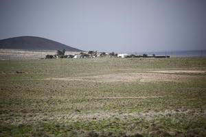 autumn, Canarias, day, diffuse, diffused light, eye level view, field, Spain