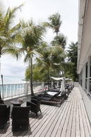 Barbados, cafe, chair, coconut palm, Cocos nucifera, day, eye level view, furniture, hotel, palm, spring, sunbed, sunny, table