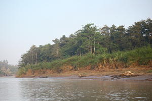 afternoon, Brunei, day, diffuse, diffused light, eye level view, forest, natural light, river, summer, treeline, tropical