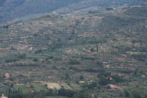 Arezzo, day, diffuse, diffused light, elevated, Italia , Toscana, valley