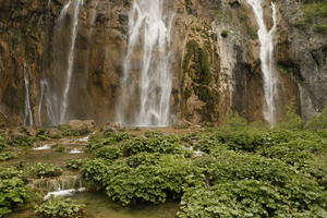 Croatia, day, diffuse, diffused light, eye level view, Karlovacka, natural light, plant, shrub, summer, waterfall