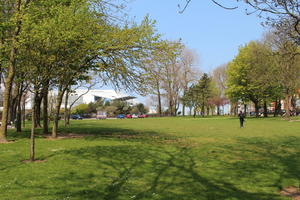 Boulogne-sur-Mer, broad-leaf tree, broad-leaved tree, day, eye level view, France, grass, Nord-Pas-de-Calais, park, spring, sunny, tree