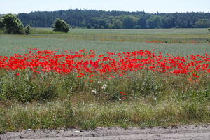 Poland