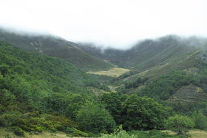 Asturias, day, diffuse, diffused light, elevated, mountain, natural light, Spain, summer, woodland