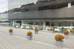 Copenhagen , day, Denmark, eye level view, facade, glass, Kobenhavn, overcast, potted plant, restaurant, winter