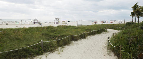 beach, day, diffuse, diffused light, eye level view, Florida, grass, Miami, summer, The United States