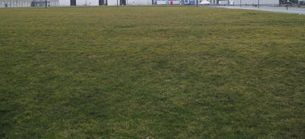 Copenhagen , day, Denmark, diffuse, diffused light, eye level view, grass, grassland, Kobenhavn, winter