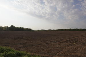 afternoon, day, direct sunlight, eye level view, field, France, spring, sunny, sunshine