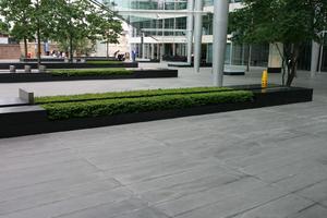 day, England, eye level view, hedge, London, natural light, pavement, square, The United Kingdom, vegetation