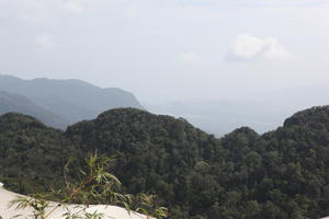 day, elevated, forest, Kedah, Malaysia, mountain, sunny, vegetation