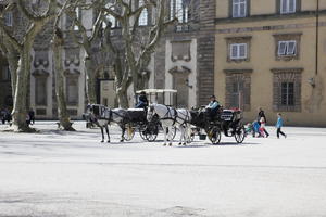 carriage, casual, day, eye level view, group, horse, people, spring, square, sunny