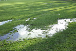 cloudy, day, England, eye level view, football pitch, grass, London, sunny, The United Kingdom, winter