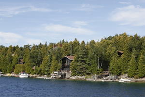 broad-leaf tree, broad-leaved tree, Canada, coniferous, day, eye level view, Ontario, seascape, summer, sunny, Tobermory, tree, treeline, woodland