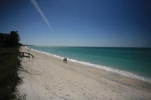 beach, clear, day, eye level view, Florida, Miami, natural light, seascape, sky, sunny, The United States, winter